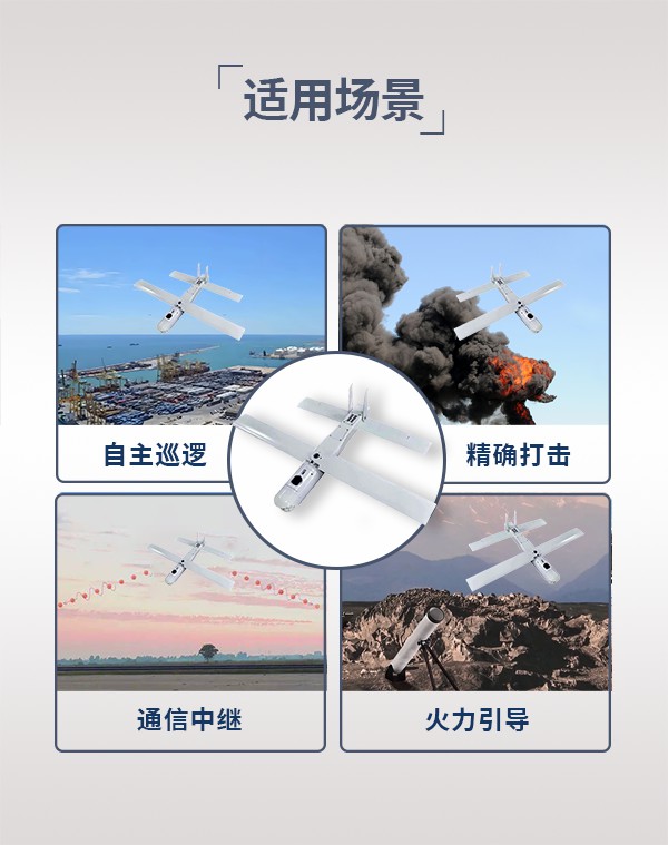 巡飛無人機(jī)xf03型(圖3)