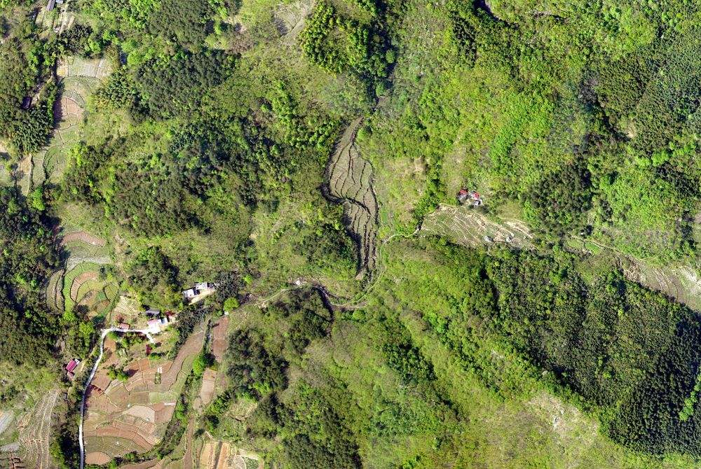 無(wú)人機(jī)技術(shù)在現(xiàn)代林業(yè)工作方面的應(yīng)用(圖2)