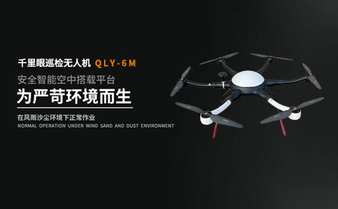 淺析無人機(jī)在濕地公園鳥類遷徙監(jiān)測中的作用(圖1)